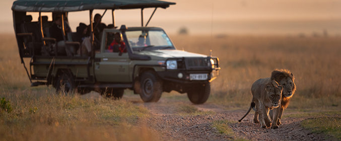 Kenya Safari