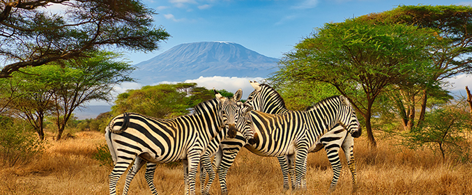 Kenya Tanzania 10N/11D