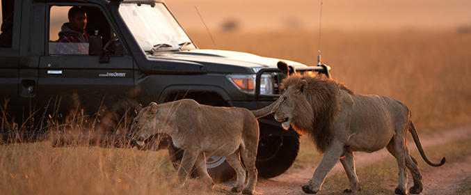 Kenya Tanzania 7N/8D