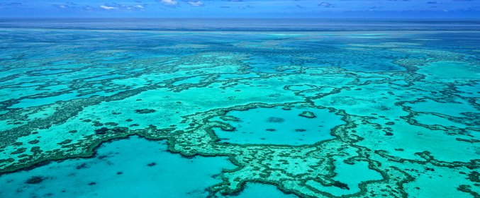 Tropical Cairns Discovery