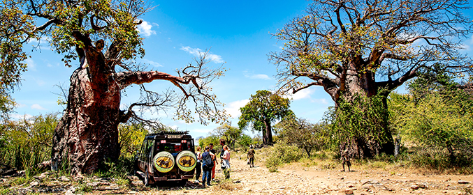 Tanzania Safari 7N/8D